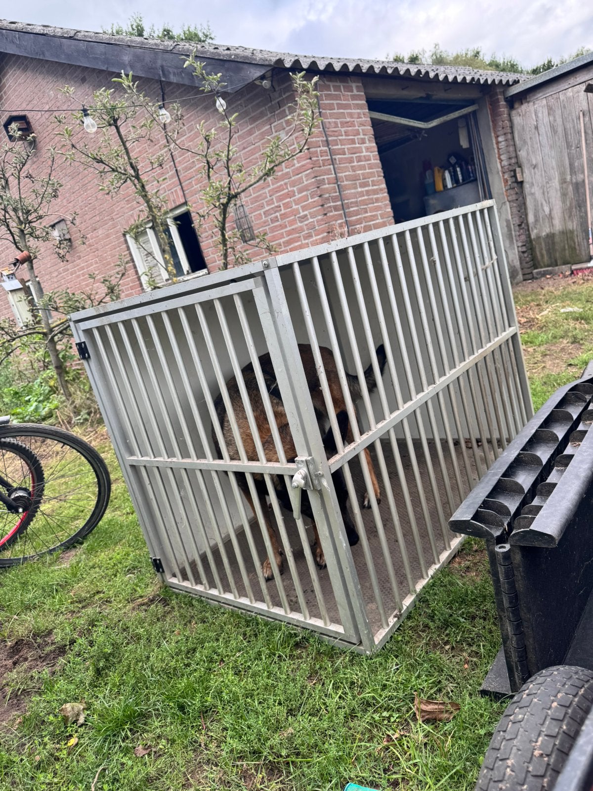 Groot hondenhok/bench, Ophalen, Zo goed als nieuw, 110 cm of meer, 100 cm of meer