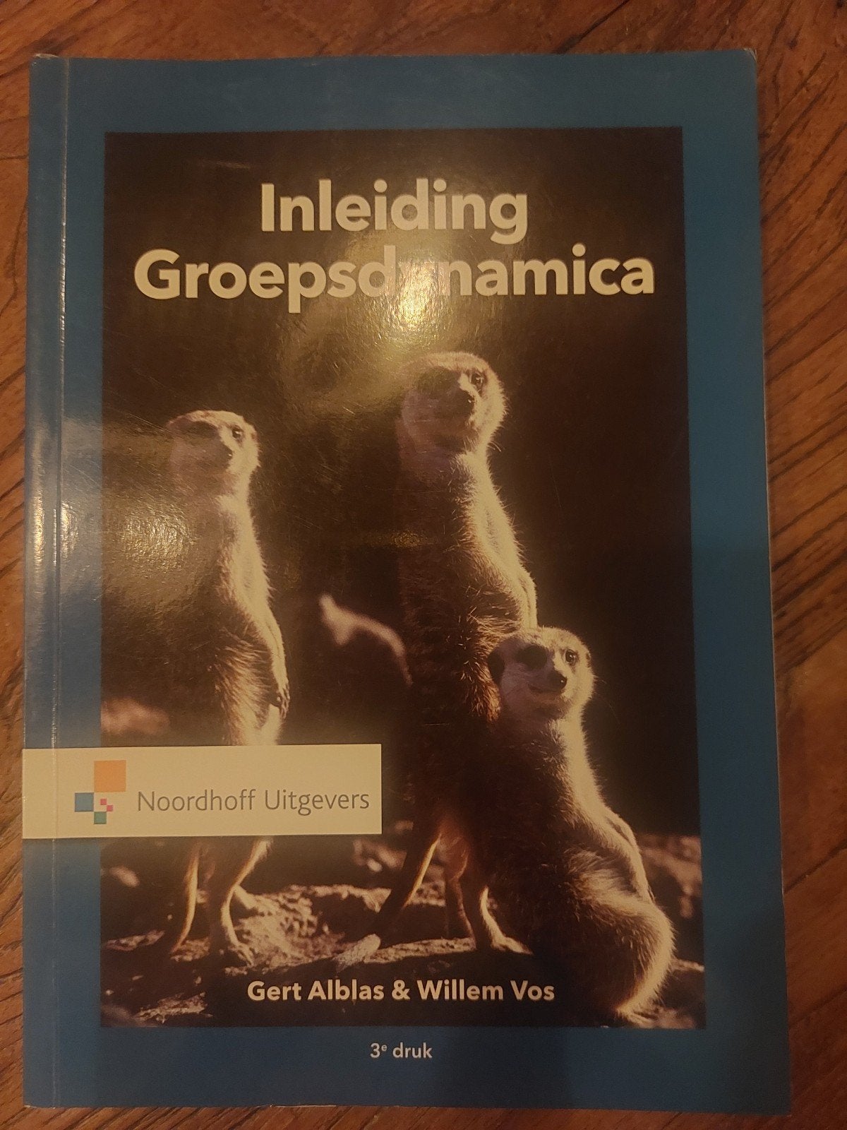 Inleiding Groepsdynamica - Gert Alblas & Willem Vos, Boeken, Studieboeken en Cursussen, Gelezen, Gert Alblas & Willem Vos, Gamma