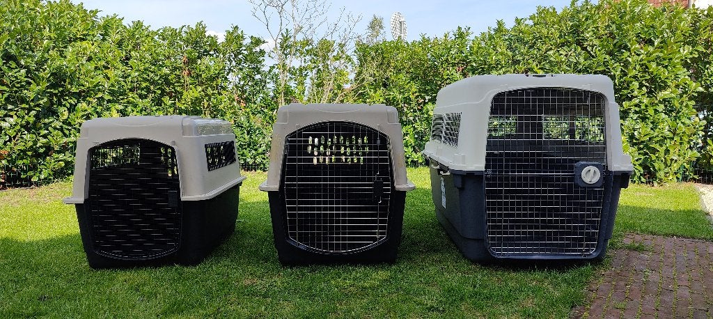 Petmate transportbox, Dieren en Toebehoren, Ophalen, Gebruikt
