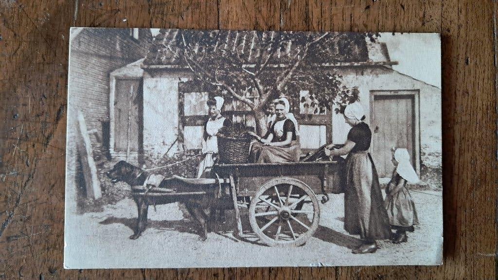 zeeland Walcheren klederdracht hondenwagen, Ophalen of Verzenden, Voor 1940, Klederdracht