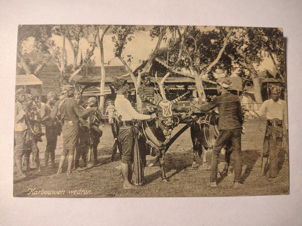 Nederlands Karbouwen wedren., Ophalen of Verzenden, Gelderland