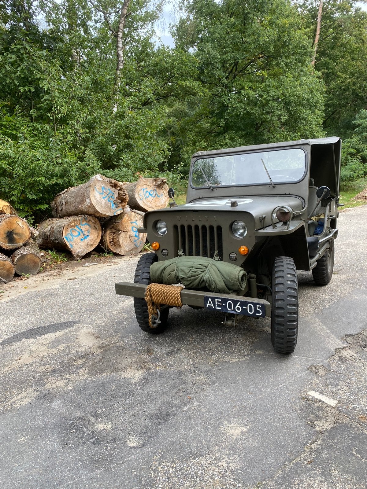 Willys bj 1959, foto 3