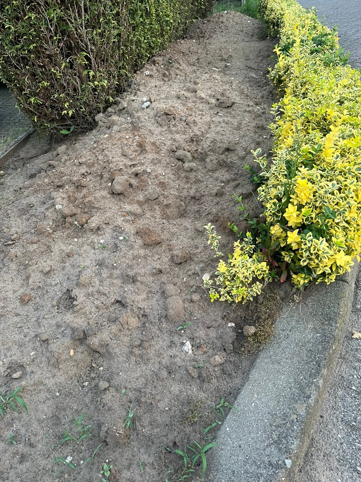 Zwarte grond, Ophalen, Zo goed als nieuw, Overige typen