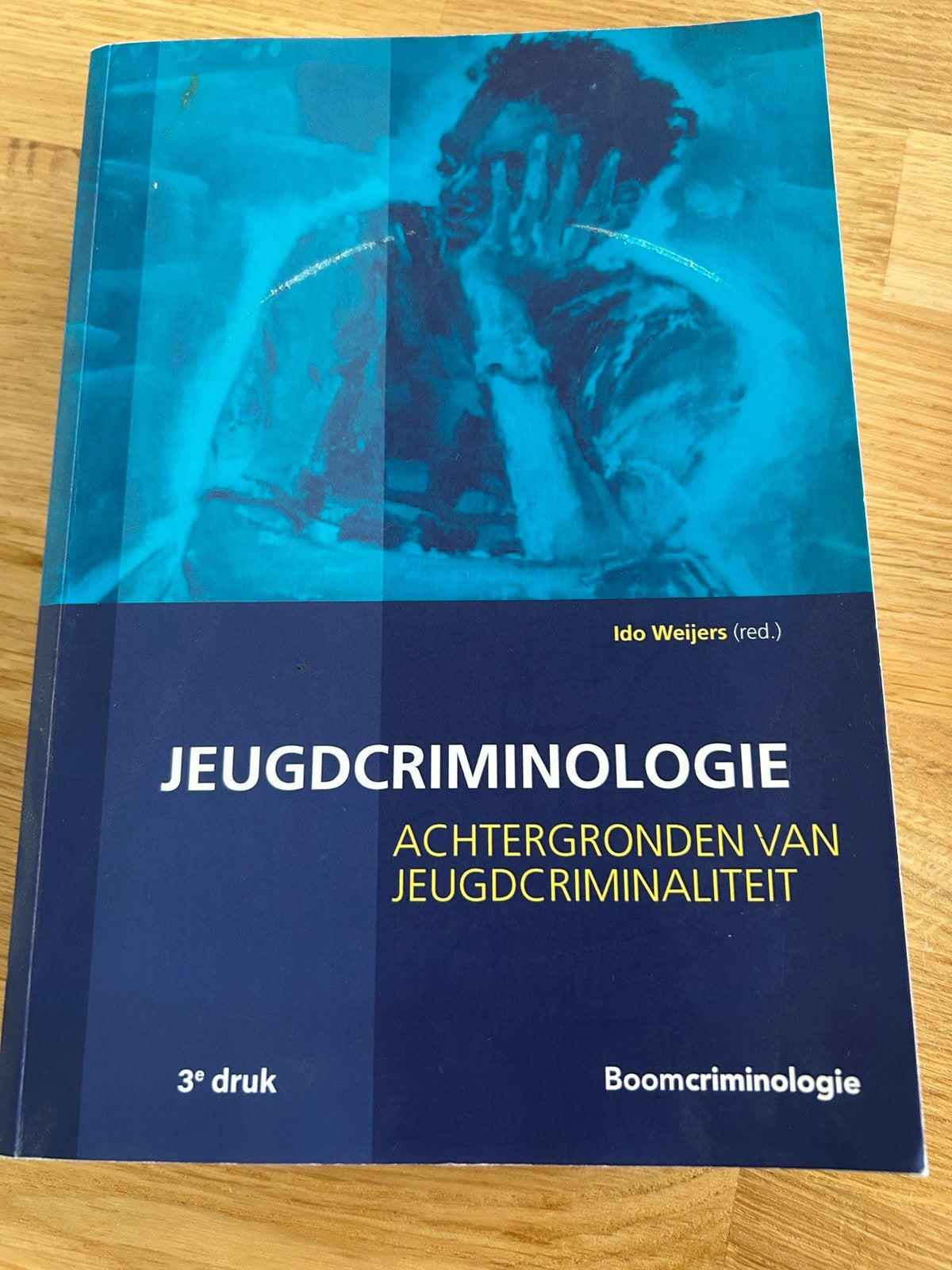 Jeugdcriminologie achtergronden van jeugdcriminaliteit, Boeken, Ophalen of Verzenden, Zo goed als nieuw, Sociale wetenschap