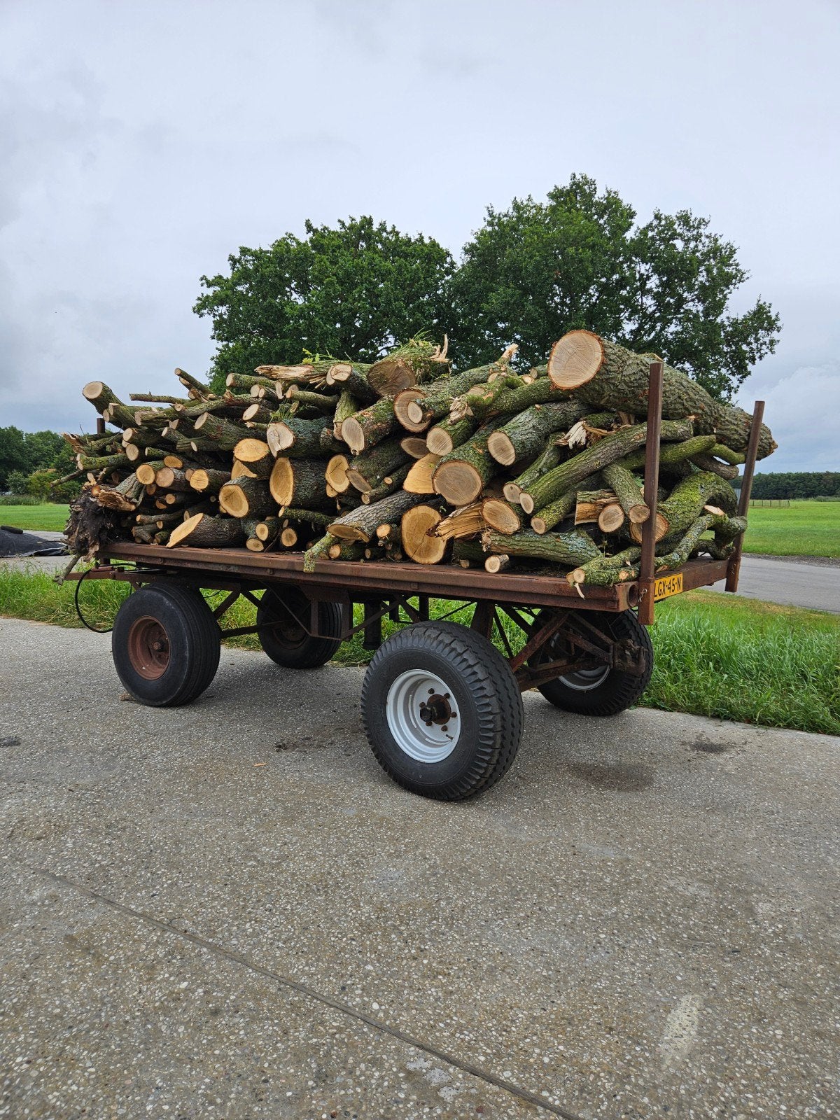 kar vol eiken hout!, 6 m³ of meer, Ophalen, Eikenhout, Stammen