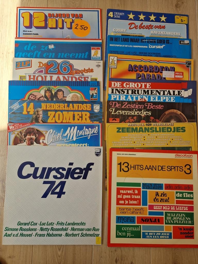 Diverse verzamel platen, Ophalen, Gebruikt, Overige formaten