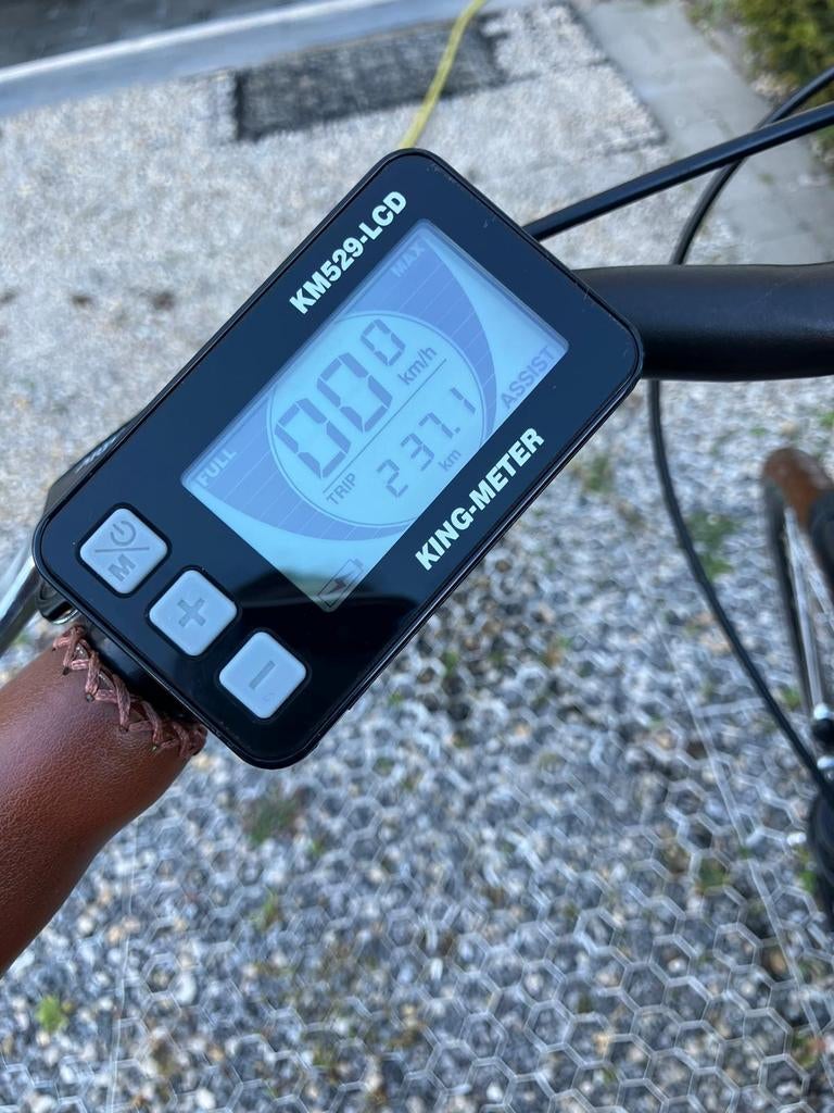 Elektrische Damesfiets  minerva  alivio, Ophalen, Zo goed als nieuw, Overige merken