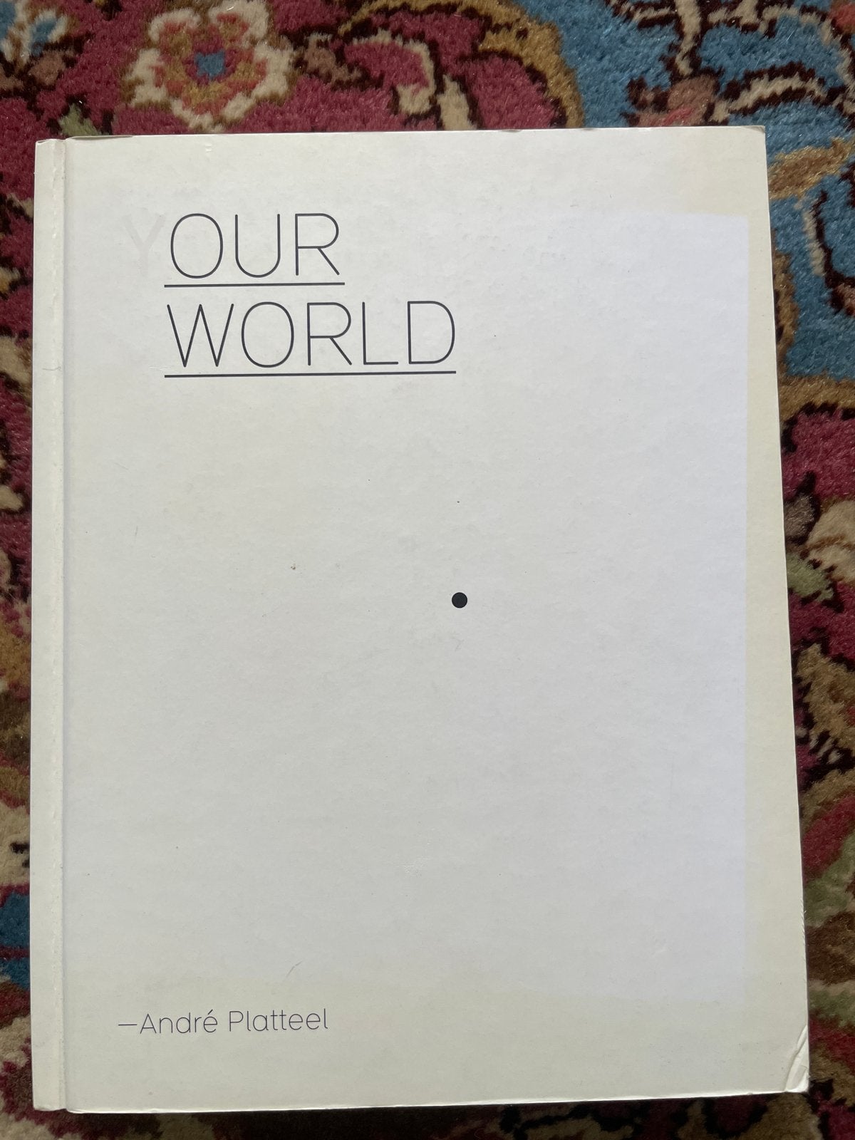 Our World - André Platteel (Boek over jongeren), Ophalen of Verzenden, Zo goed als nieuw, Nederland