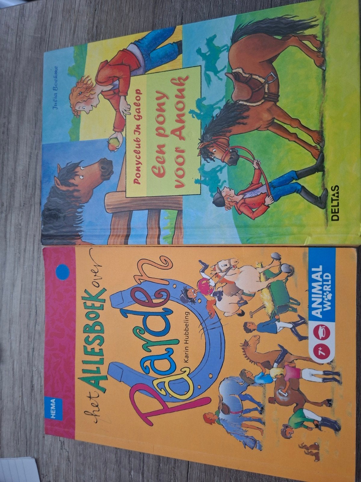 Paard en pony boek, Ophalen of Verzenden, Zo goed als nieuw