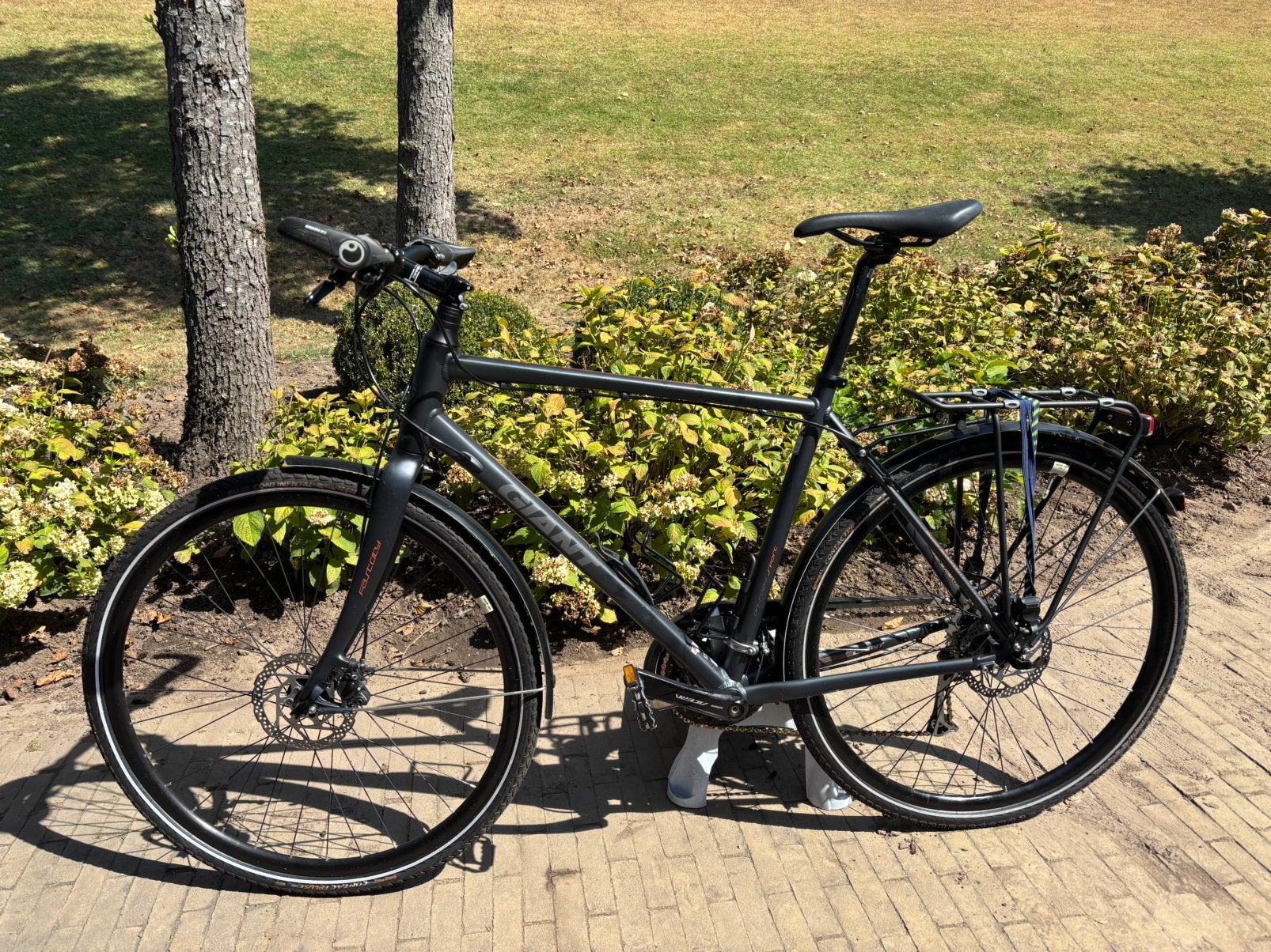 Giant Hybride fiets schijfremmen, Ophalen, Gebruikt, Giant, 57 tot 61 cm