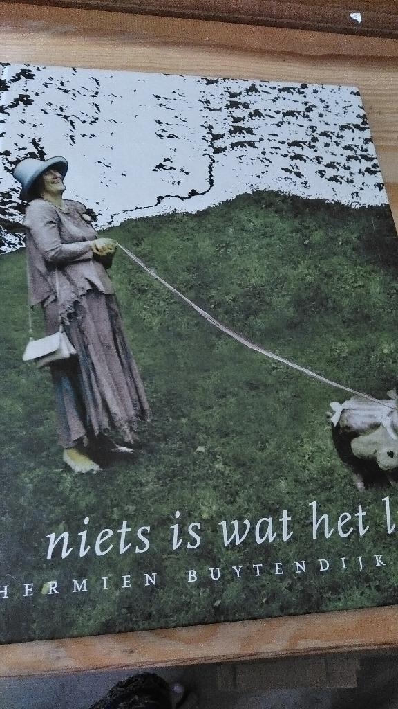 Hermien Buytendijk "Niets is wat het lijkt " Keramiek, Verzenden, Gelezen, Overige onderwerpen