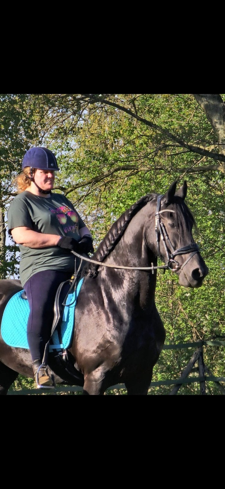 bijrijder gezocht, Dieren en Toebehoren, Ophalen of Verzenden