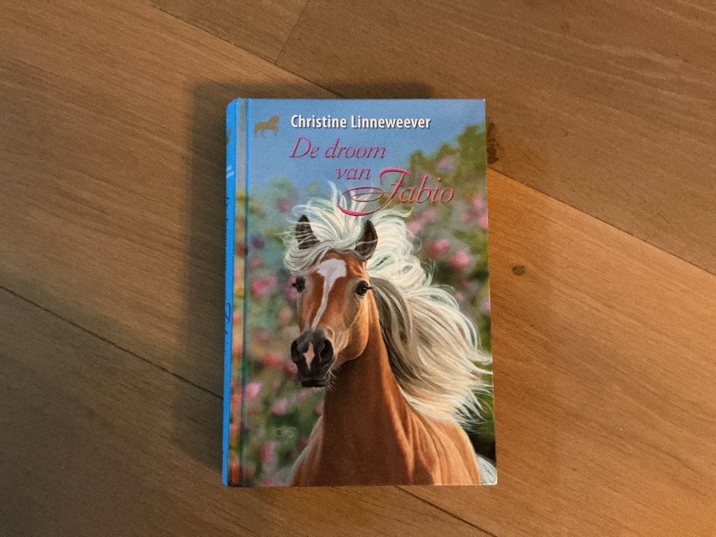 De droom van Fabio / Gouden Paarden, Ophalen, Zo goed als nieuw, Christine Linnewever