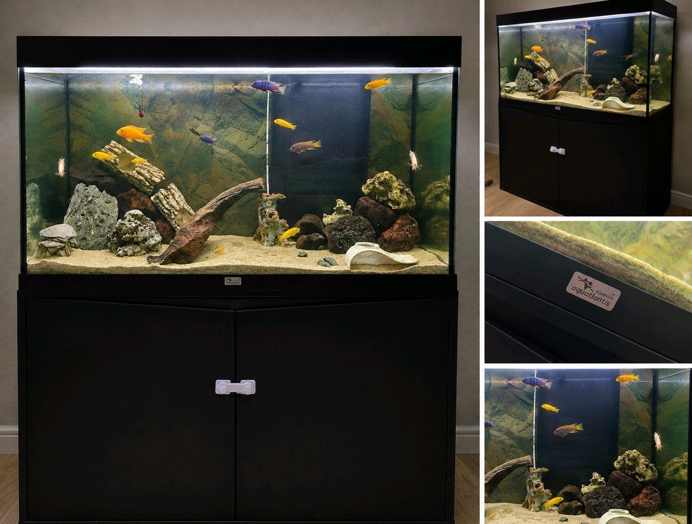 Aquatlantis aquarium compleet met kast & accessoires. 2 jaar, Ophalen, Zo goed als nieuw, Leeg aquarium