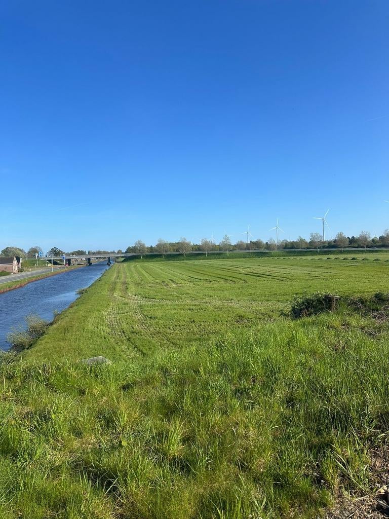 Weiland of grasland, Dieren en Toebehoren