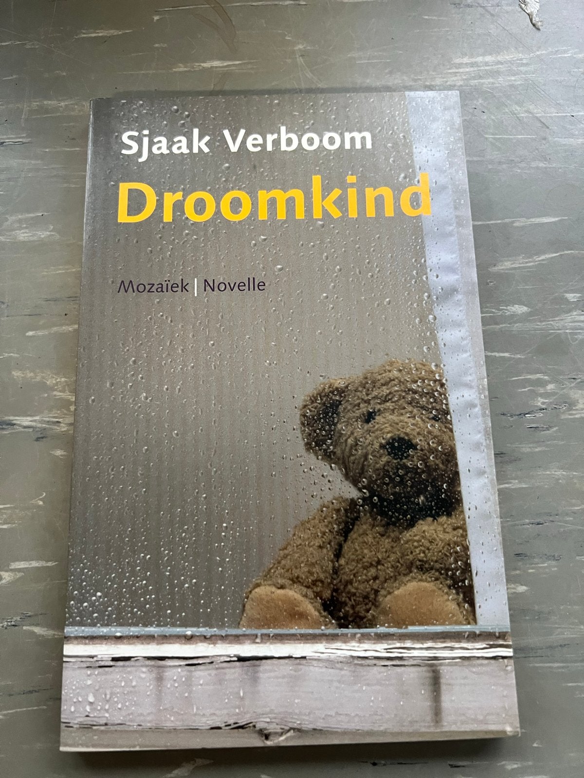 Sjaak Verboom - Droomkind (Novelle), Boeken, Ophalen of Verzenden, Zo goed als nieuw, Nederland