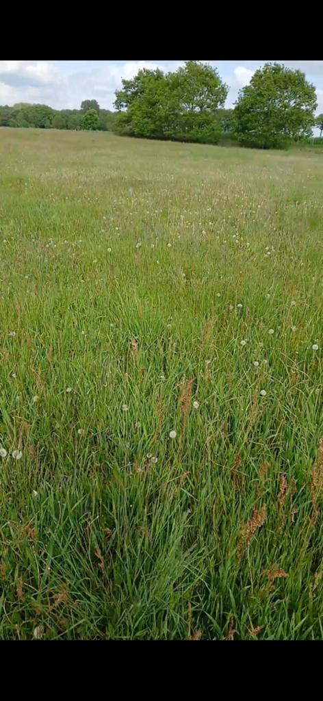 Ronde folie balen droge Kuil/Hooi, Dieren en Toebehoren, Ophalen of Verzenden, Vee
