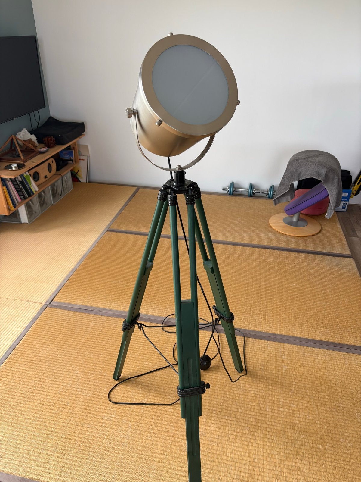 Grolsch Collectors Item Vloerlamp - Verstelbaar & Voetschake, Ophalen, Gebruikt, 100 tot 150 cm, E27 (groot)
