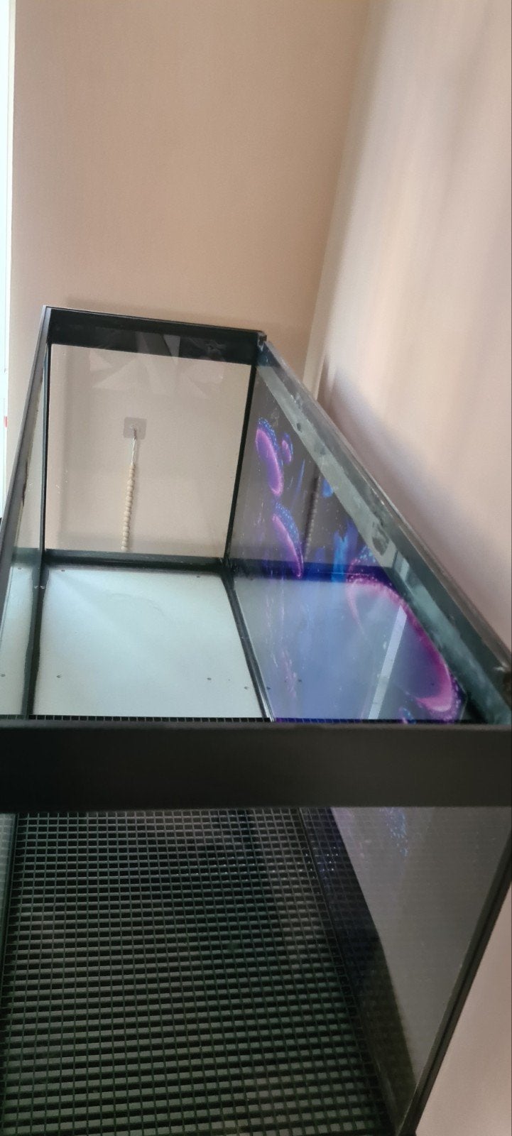 Aquarium/terrarium Moet snel weg!, Ophalen, Leeg aquarium