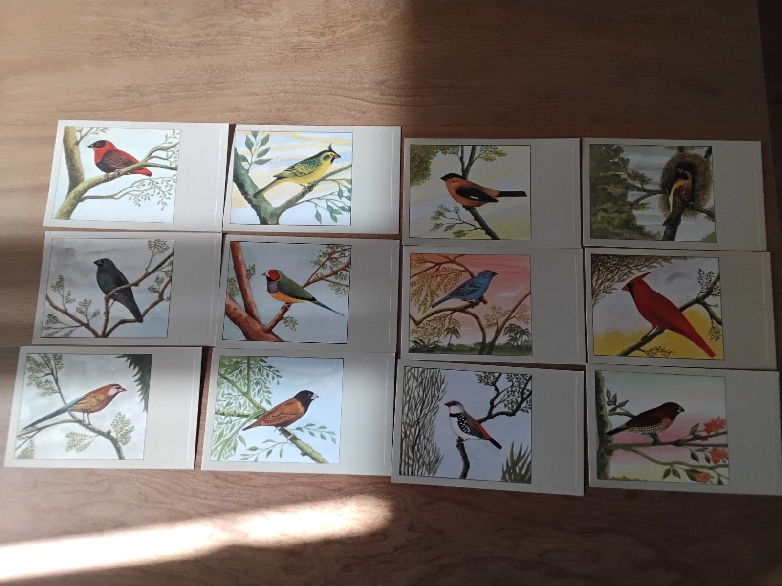 vogel plaatjes Sluis diervoeders, Ophalen of Verzenden, Plaatje