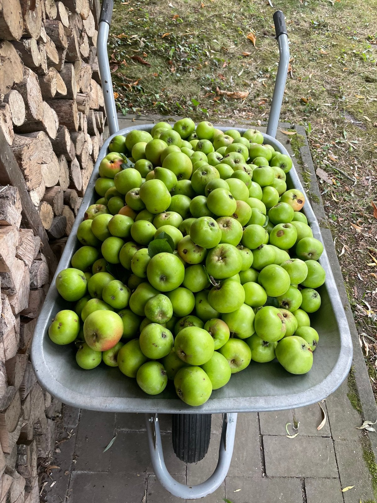 Gratis Appels, Ophalen