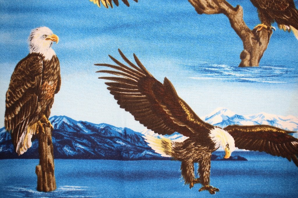 Coupon 100% katoen stof - arend / eagle blauw #4087, Blauw, Nieuw, Ophalen of Verzenden, 30 tot 120 cm