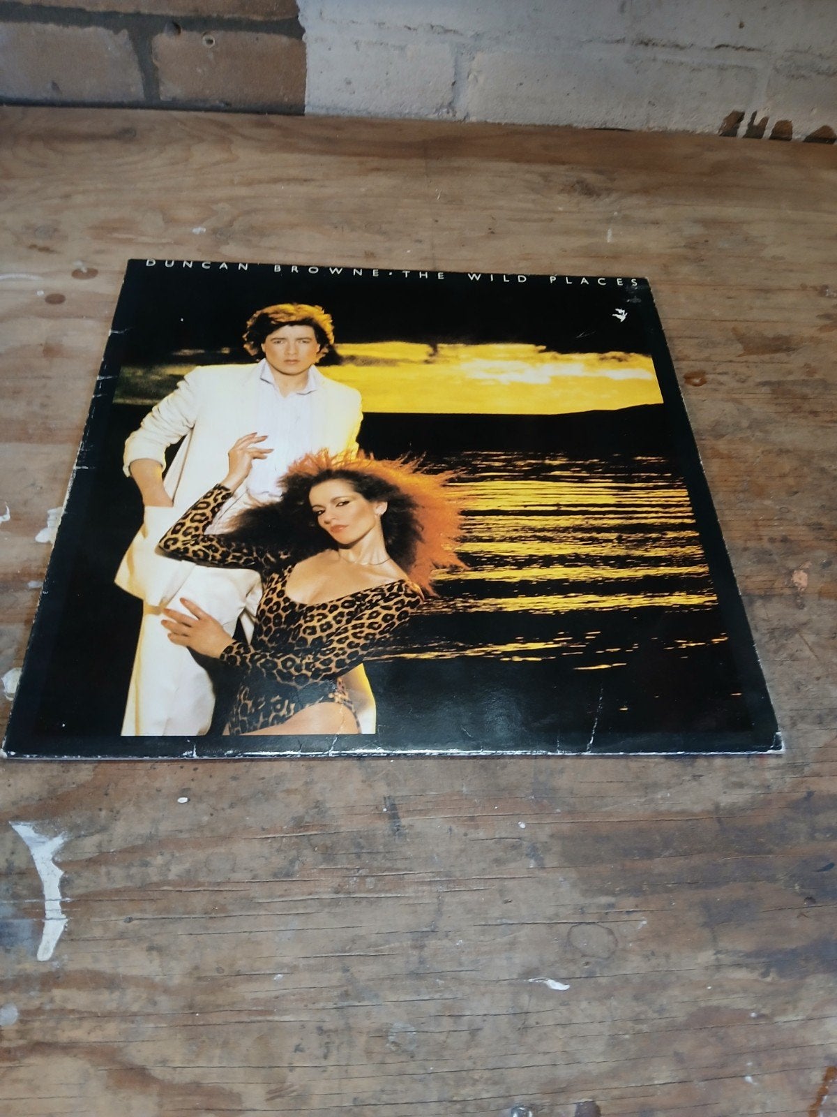 Duncan Browne - The Wild Places LP (1979), Cd's en Dvd's, Ophalen of Verzenden, Gebruikt, 12 inch