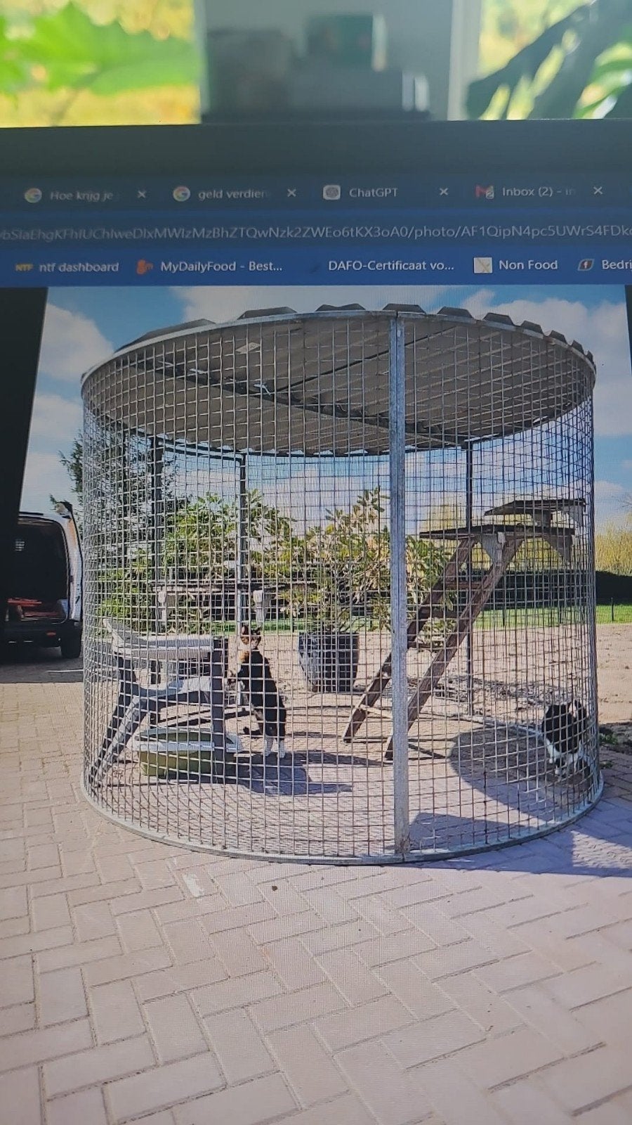Kattenren/buitenverblijf  van 260cm Ø, Dieren en Toebehoren, Ophalen