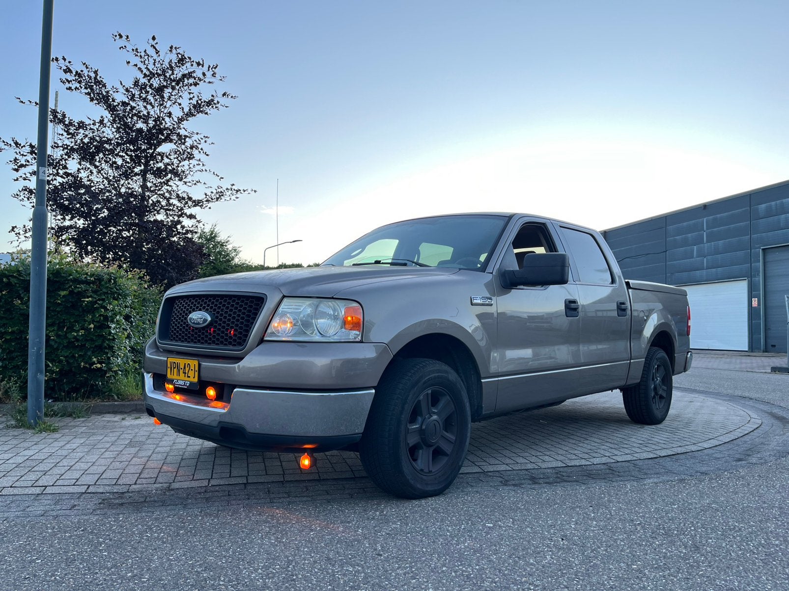Ford F-150 4.6 2005 LPG, Automaat, Achterwielaandrijving, Overige kleuren, Leder