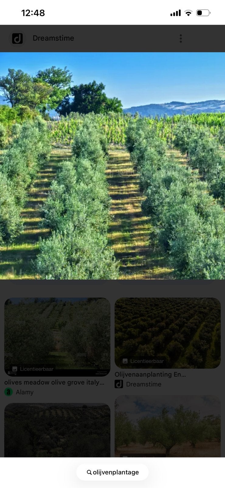 Agrarisch grond, Tuin en Terras, Ophalen of Verzenden, Halfschaduw, Overige soorten