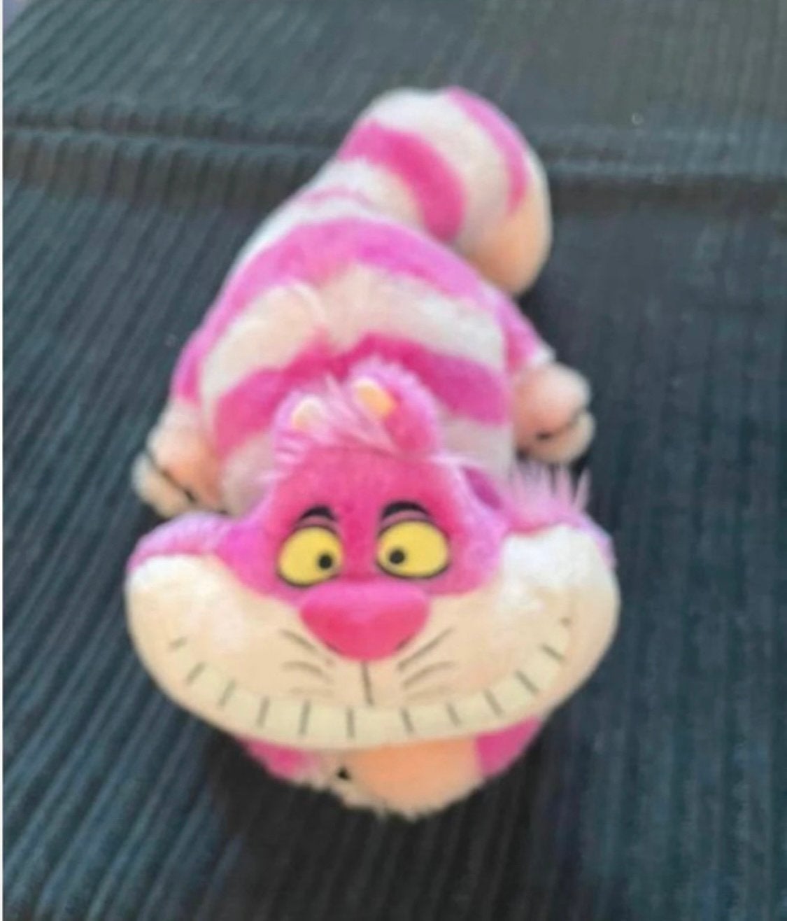 Disneyland knuffels kat cat Cheshire uit alice in wonderland, Ophalen of Verzenden, Zo goed als nieuw