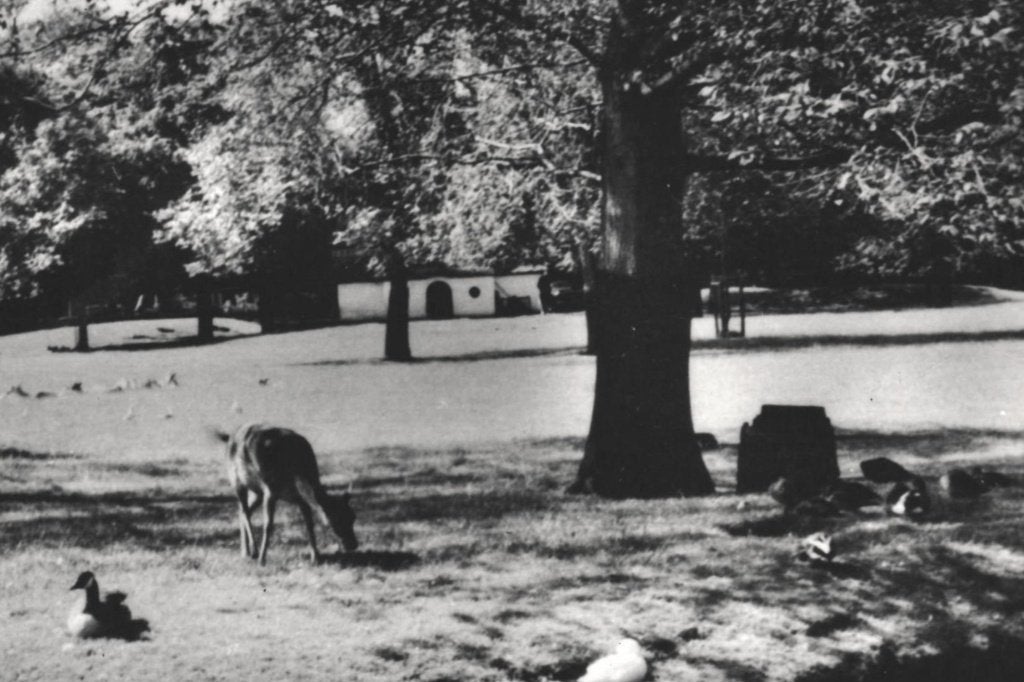 700115 Bergen 1957 Hertenkamp Gelopen met postzegel, Ophalen of Verzenden, 1940 tot 1960, Gelopen, Noord-Holland