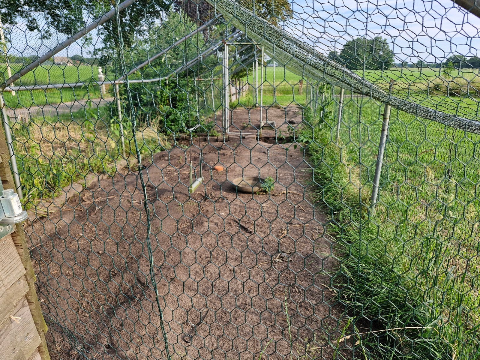 2 grote kippen rennen of ren voor andere dieren., Ophalen, Kippenhok of Kippenren