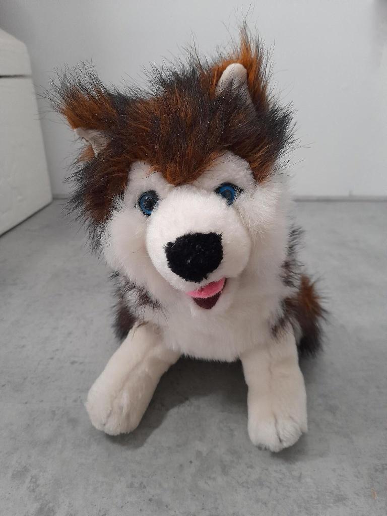Speelgoed knuffel HOND HUSKY, Ophalen of Verzenden, Zo goed als nieuw, Hond, Wasbaar