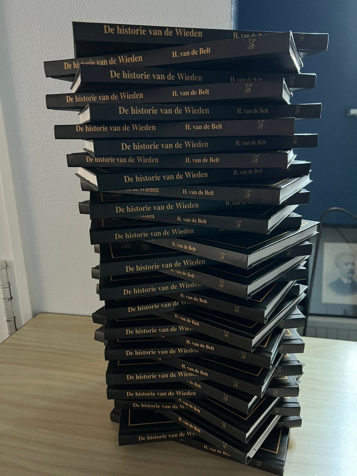 NIEUW!! Boek “De Historie van de Wieden” Belt-Schutsloot, 20e eeuw of later, Ophalen of Verzenden, Nieuw, H. van de Belt (Belt-Schutsloot)