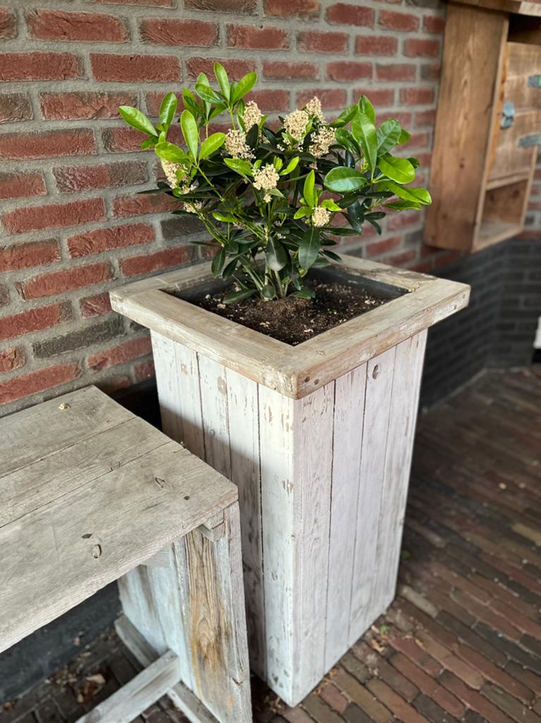 Houten plantenbakken - set van 3, Ophalen, Gebruikt, Minder dan 60 cm, Binnen