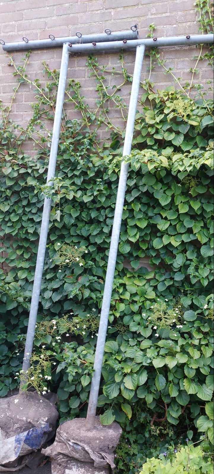 Waslijnpalen - Gegalvaniseerd Staal, Ophalen, Gebruikt, Overige typen