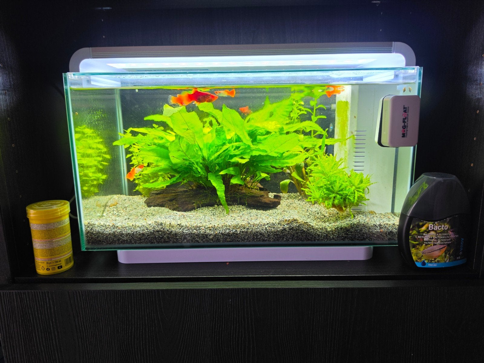 Compleet aquarium Superfish (zoals hij staat), Dieren en Toebehoren, Ophalen, Leeg aquarium