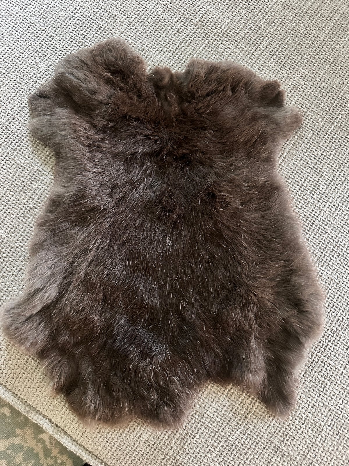 Nieuw: 11 x Grijze konijnenvacht - echt!, Huis en Inrichting, 38 cm, 50 cm, Nieuw, Ophalen of Verzenden