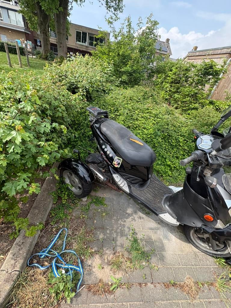 PGO T-Rex driewiel scooter - opknapper, Ophalen, Gebruikt