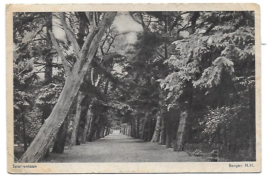 Bergen Nh Sparrenlaan Oude Gelopen Ansichtkaart (B1456 ), Ophalen of Verzenden, 1960 tot 1980, Gelopen, Noord-Holland