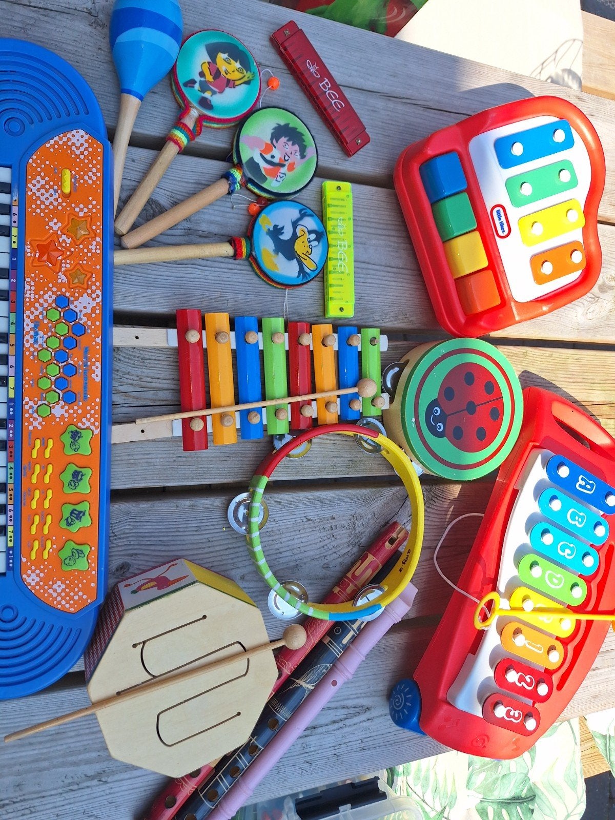 muziekinstrumenten, Ophalen, Jongen of Meisje