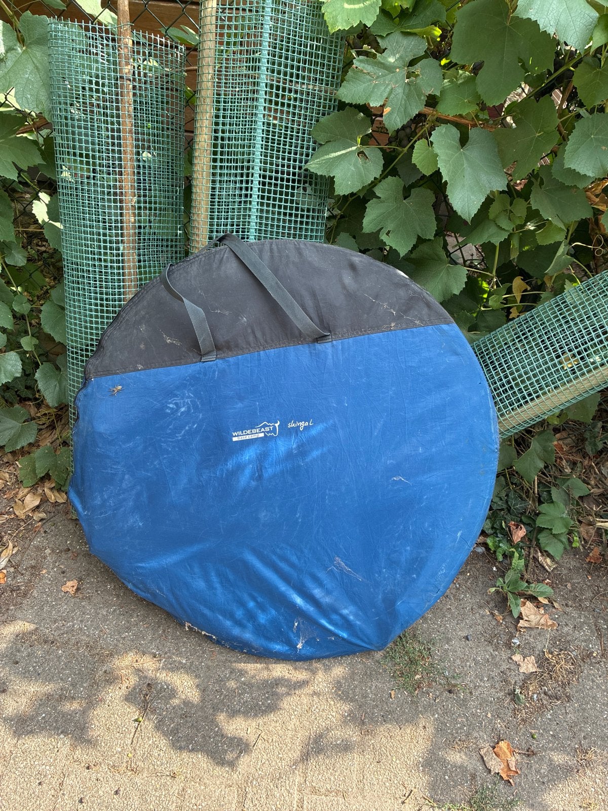 Wildebeast Shinga L tent 2/3p - Snel op te zetten, Caravans en Kamperen, Ophalen, Gebruikt, Tot en met 3