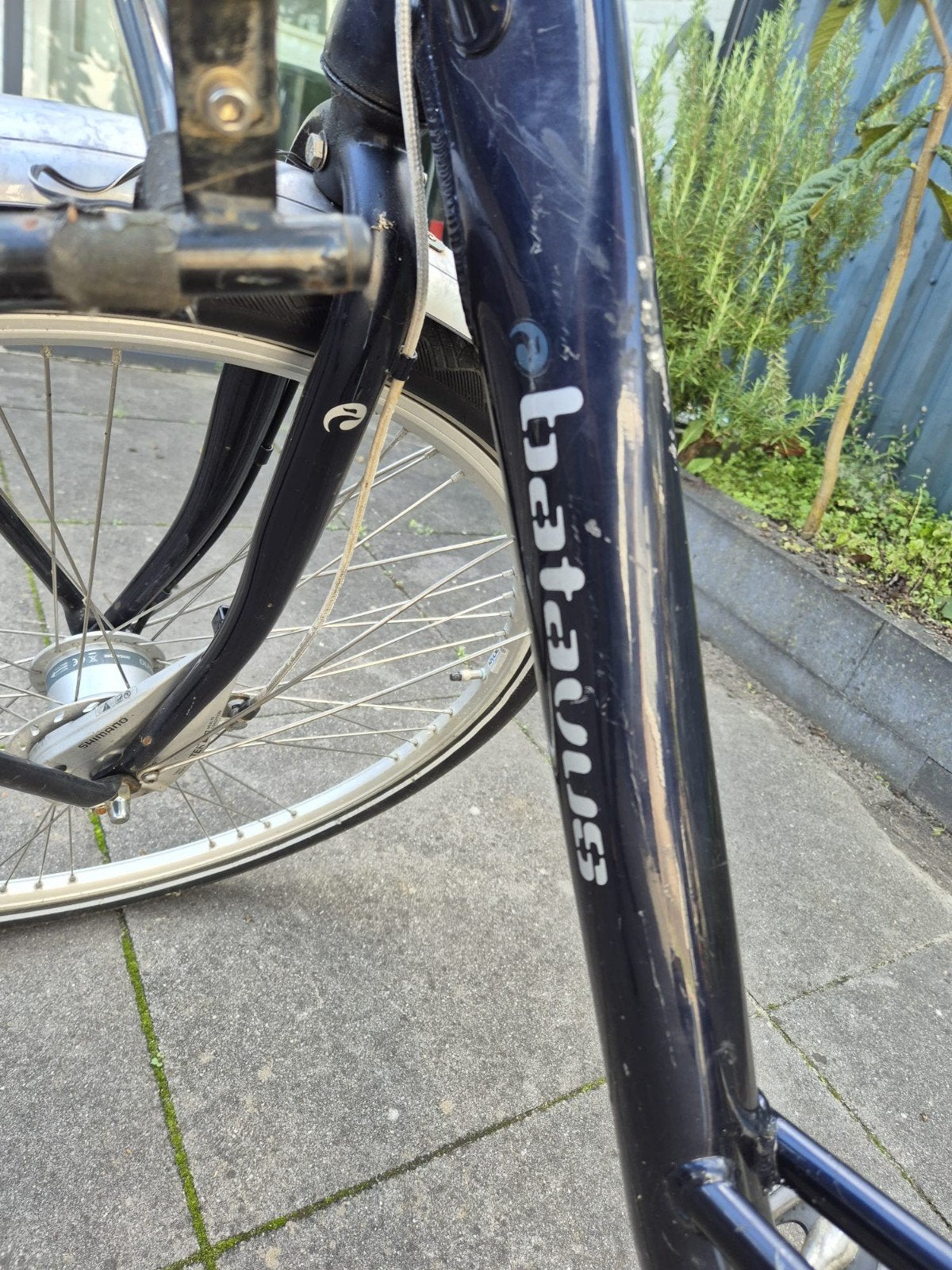 Batavus damesfiets met voordrager, Ophalen, Terugtraprem, Batavus, 53 tot 56 cm