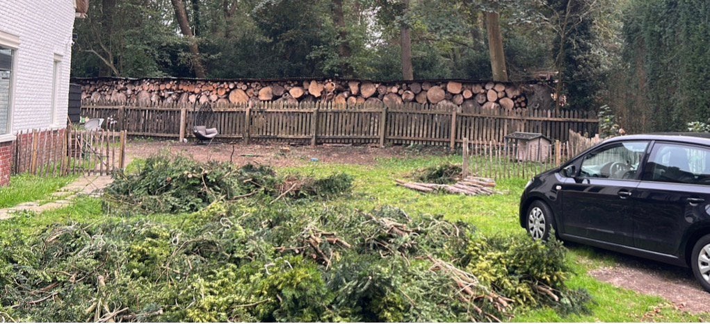 Gratis gebundelde  taxus takken, Tuin en Terras, Ophalen, Volle zon, Overige soorten