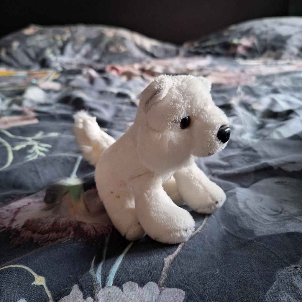 Schattige witte pluche hond knuffel, Kinderen en Baby's, Speelgoed | Knuffels en Pluche, Zo goed als nieuw, Middelgroot (20 tot 80 cm)