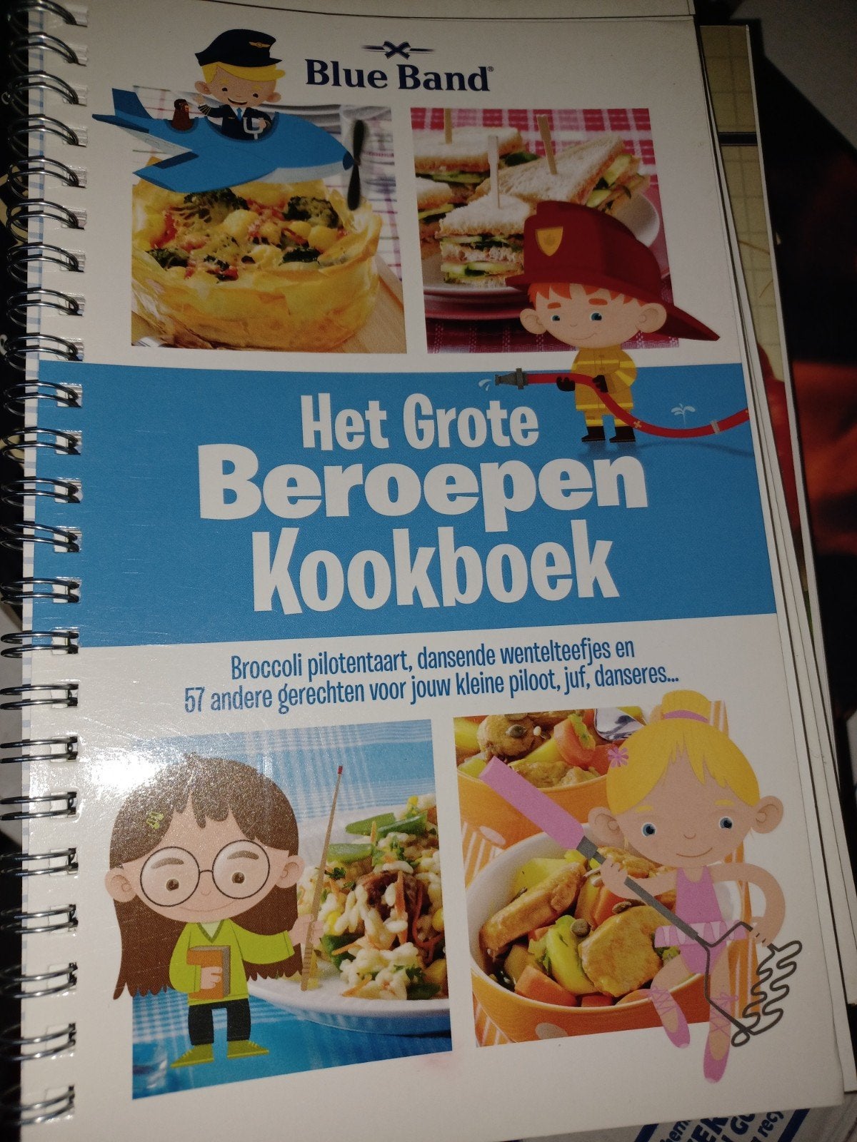 Blue Band Kookboeken, Boeken, Gelezen, Ophalen of Verzenden, Nederland en België, Taart, Gebak en Desserts