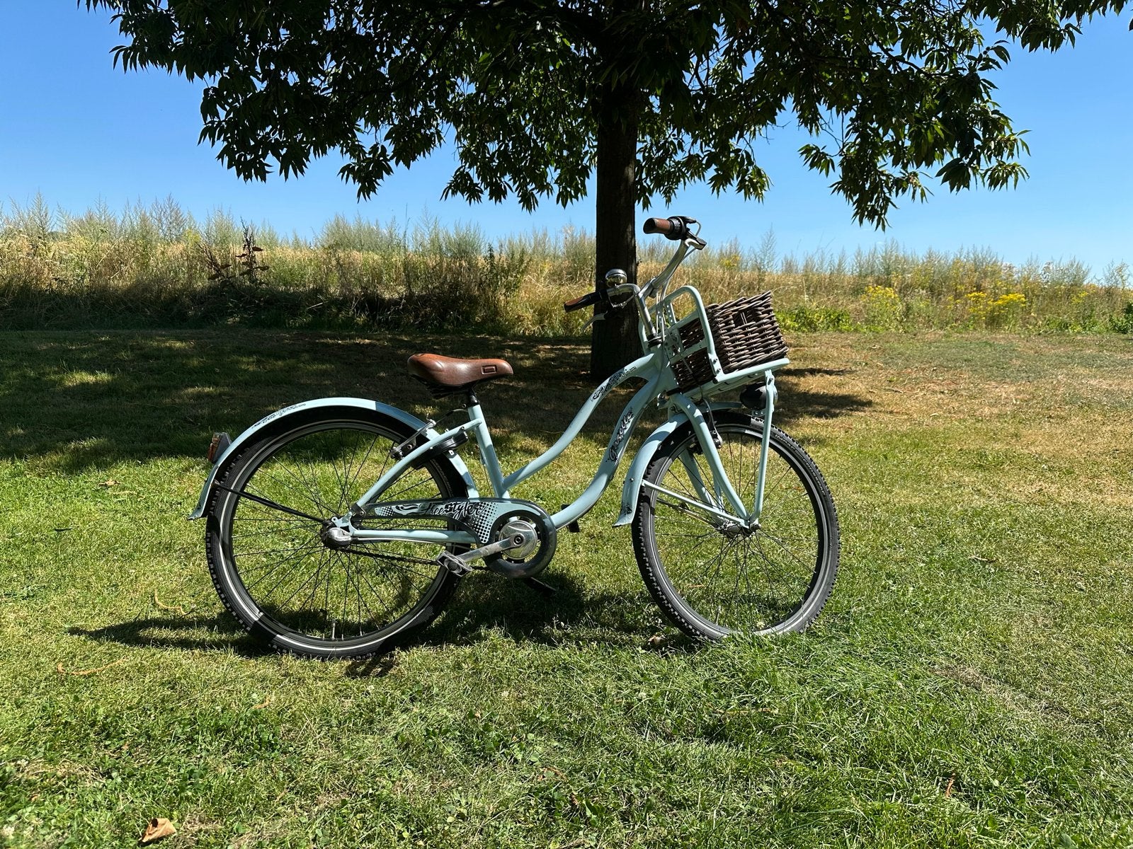 Gazelle Freestyler meisjesfiets - 24 inch - licht blauw, Ophalen, Terugtraprem, Handrem, Gebruikt