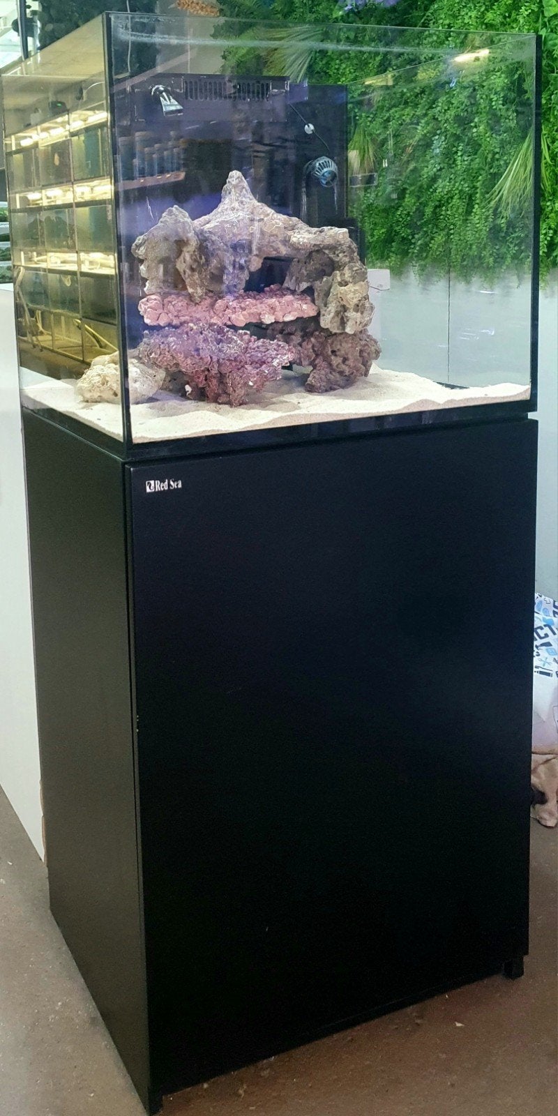 Aquarent/ Red Sea Reefer 170/ zoutwater/ zeeaquarium, Dieren en Toebehoren, Vissen | Aquaria en Toebehoren, Ophalen, Gebruikt