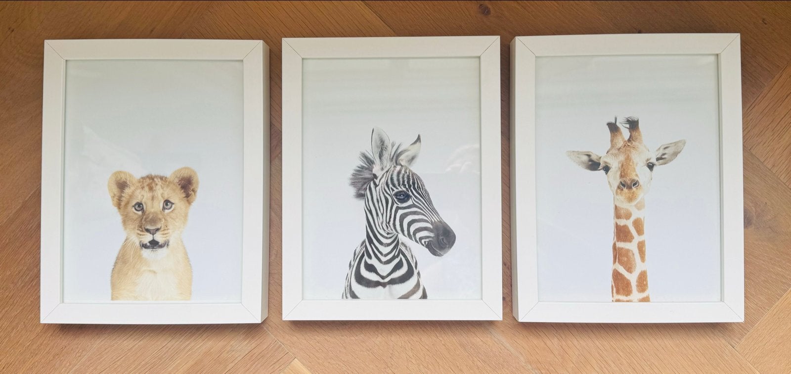 Baby dierenprints voor de babykamer (leeuw zebra en giraf), Ophalen of Verzenden, Zo goed als nieuw, Fotolijst, Met afbeelding